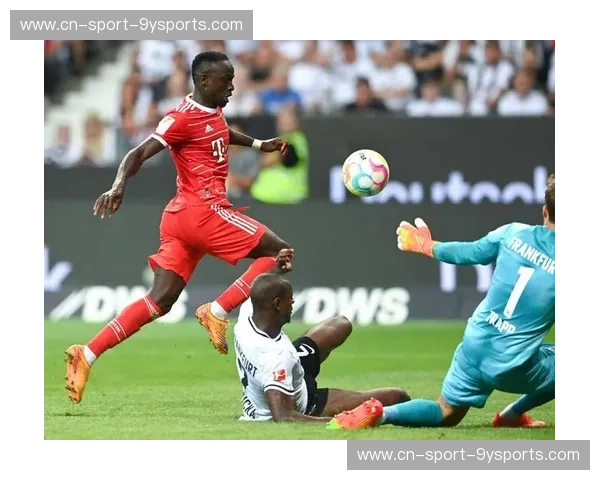 官网德甲——感受足球的魅力,享受前所未有的精彩体验 官网德甲——感受足球的魅力,享受前所未有的精彩体验